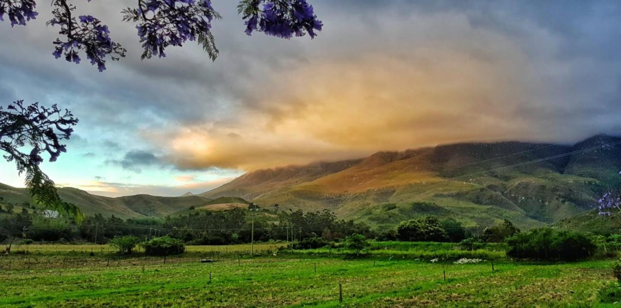 Die Hoenderhok And Die Plaashuisie Swellendam Eksteriør billede