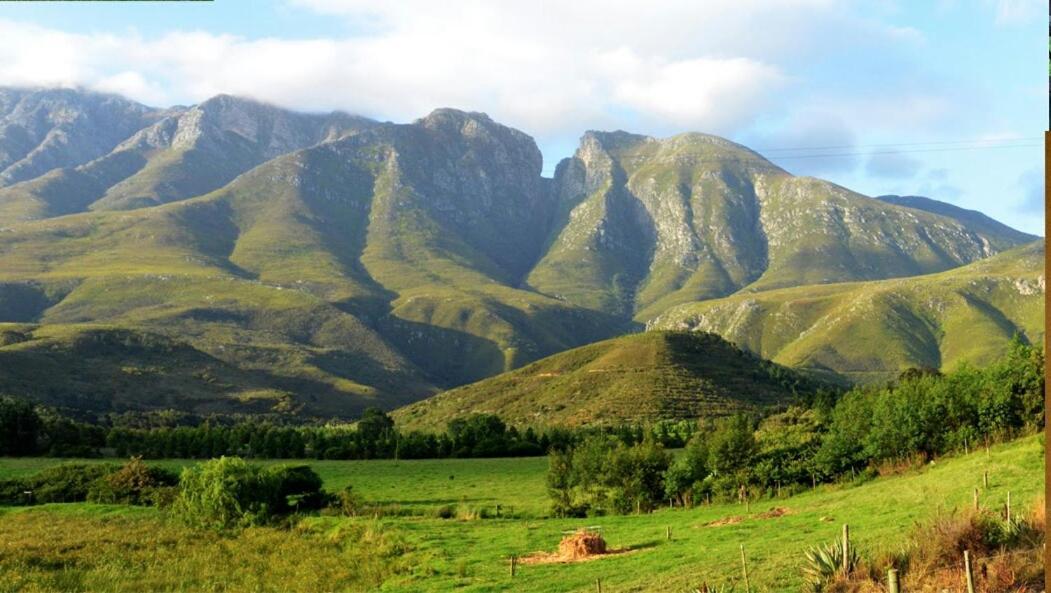 Die Hoenderhok And Die Plaashuisie Swellendam Eksteriør billede